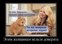 post-26283-1327439941_thumb.jpg